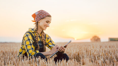 Landwirtin sitzt im Feld und macht Notizen